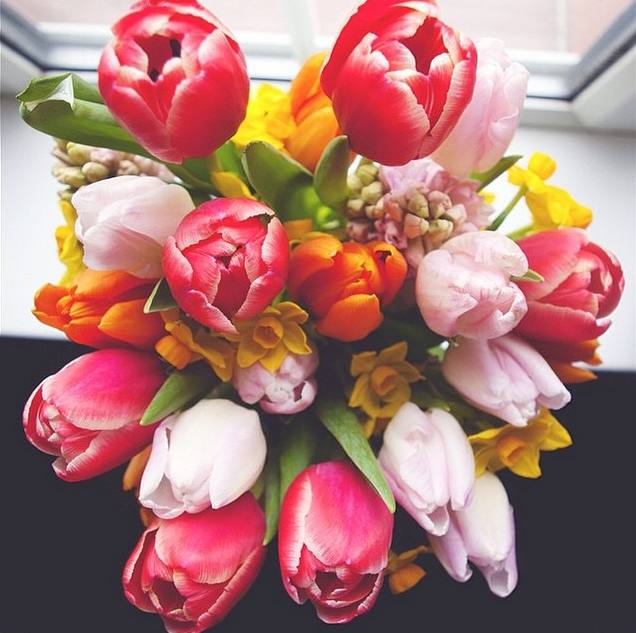 roseanna_brown