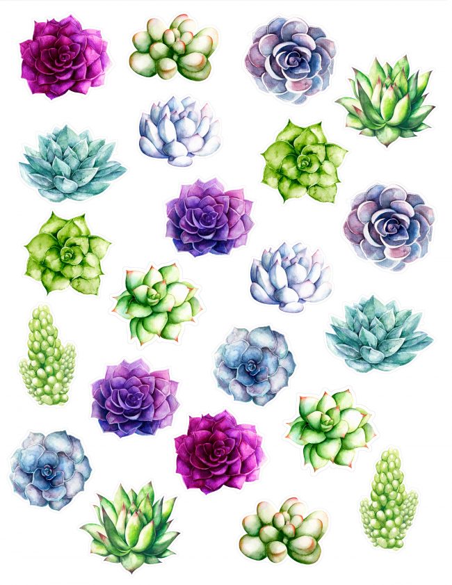 Printable Succulent Sticker Download from thesarahjohnson.com
