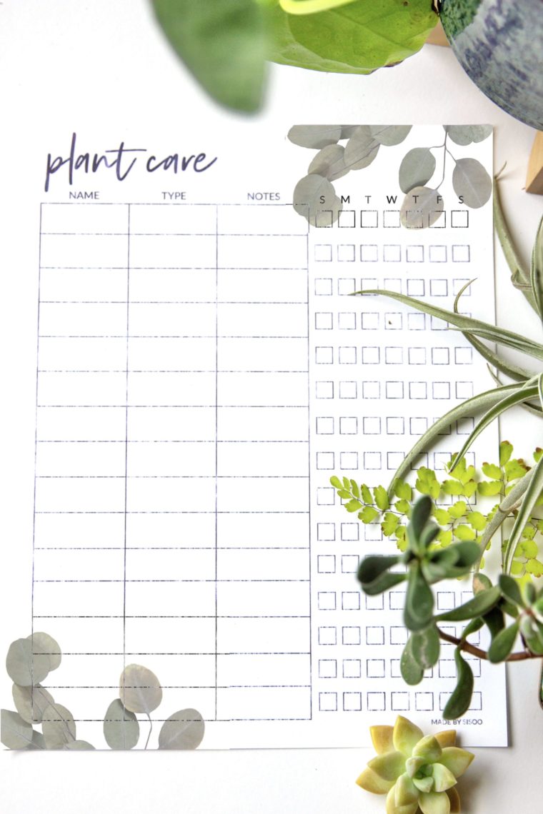 Your Plant Care Tracker Printable is Here